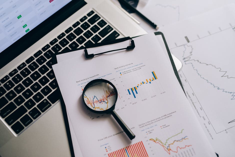 financial reporting programs