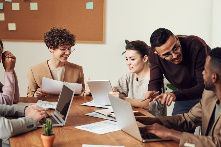 NetSuite project management